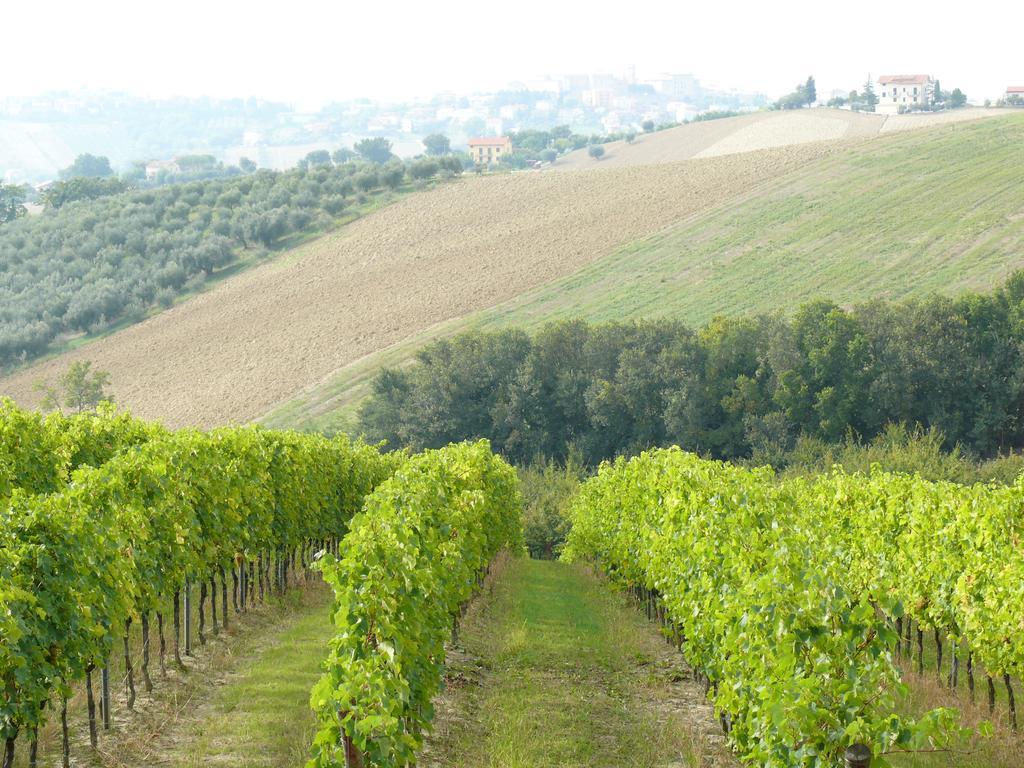 Agriturismo Al Rifugio Divino Belvedere Ostrense Экстерьер фото